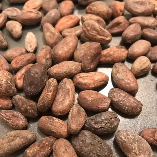 Cereal, Grain, Wheat, Maize, Coffee Cocoa Bean Dry De-Stoner for Agricultural Machinery