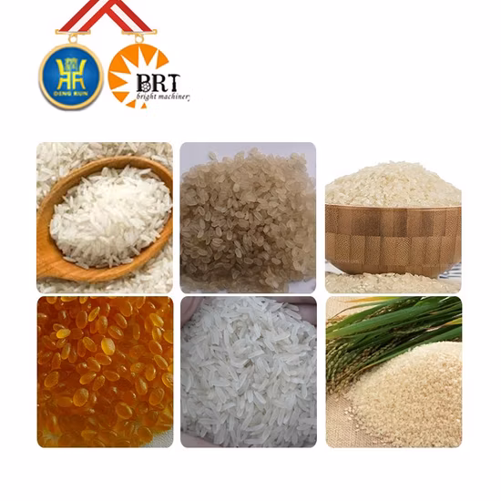 Processamento nutricional de extrusão de aço inoxidável que faz a máquina de arroz artificial